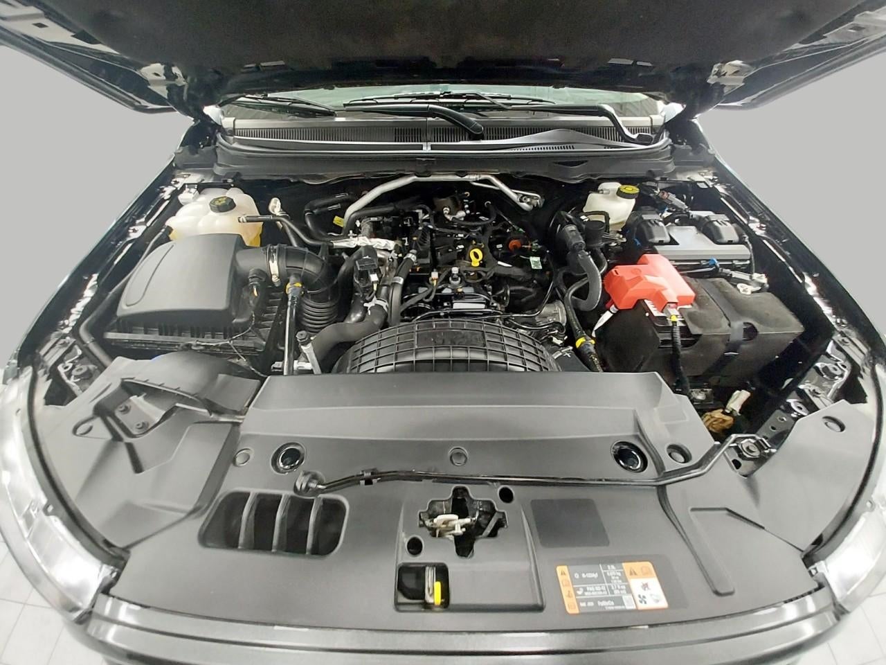 2023 Ford Ranger XLT 4WD SuperCrew 5' Box